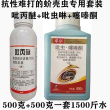 蚧壳虫蚧必治介壳虫果树多肉花卉吡丙醚吡虫噻嗪酮树虱子杀虫剂