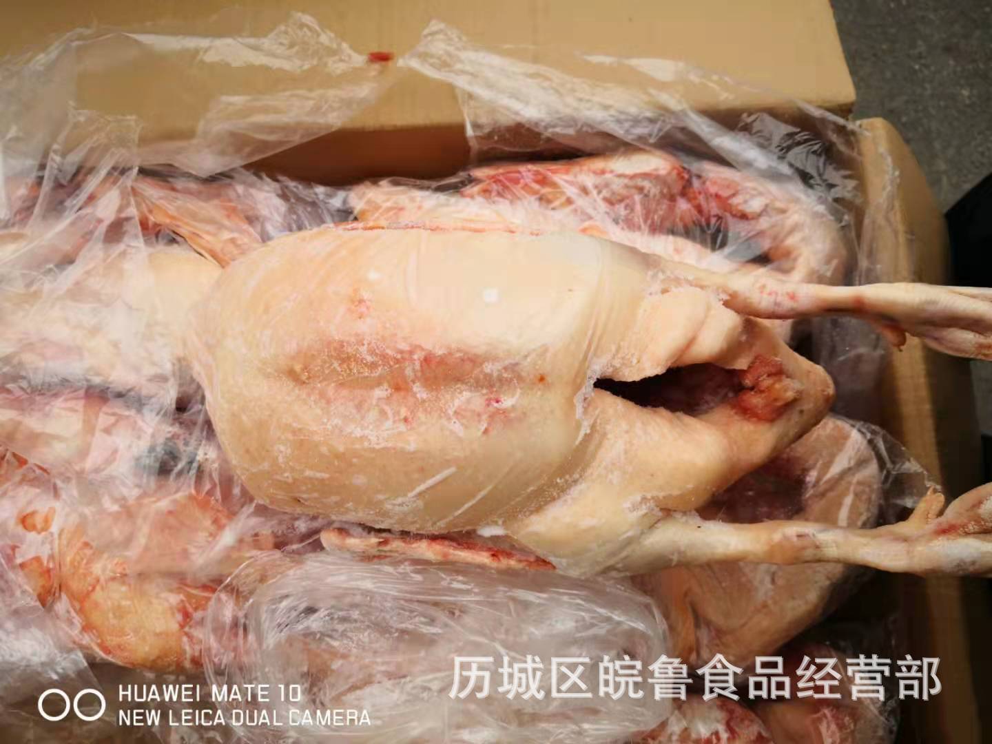 白条老鸭 白条老蛋鸭 老种鸭 山东老鸭 冷冻白条鸭 带鸭舌