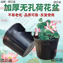 水盆加厚营养钵不漏水荷花盆睡莲盆水生植物育苗盆黑色一次性批发