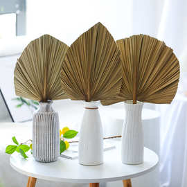 现货批发葵叶蒲扇  夏季手编老式芭蕉扇 地摊大蒲扇手摇扇子