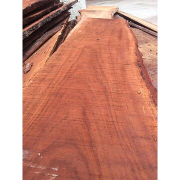 小叶红檀原木 红铁木豆 大叶红檀板材 南美血檀 饱食桑  非洲红檀