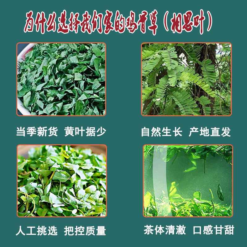 鸡骨草叶源头厂家 散装炒鸡骨草茶叶鸡骨草茶 相思叶相思藤茶批发