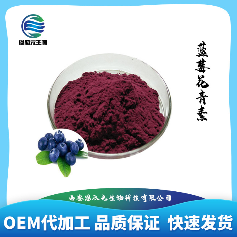 蓝莓花青素 25% 100g 蓝莓提取物 蓝莓花青素 现货供应 量大从优