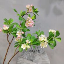 仿真植物仿真海桐花仿真花绿植树叶树枝假花客厅装饰摆放插花假树