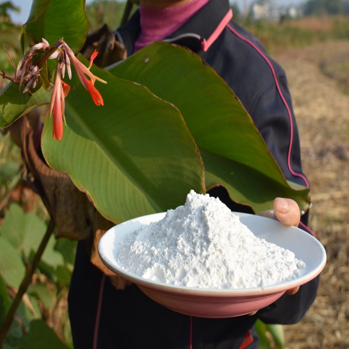 蕉芋粉广东韶关天然农家手工芭蕉芋粉家用烧仙草凉粉原料淀粉500g