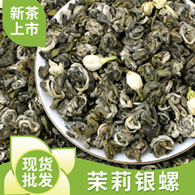 横县厂家批发茉莉银螺曲螺浓香型500g散装花茶特级茉莉花茶玉螺