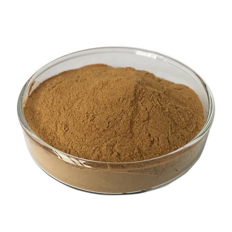 姜黄提取物 10:1棕色粉末  1kg起售