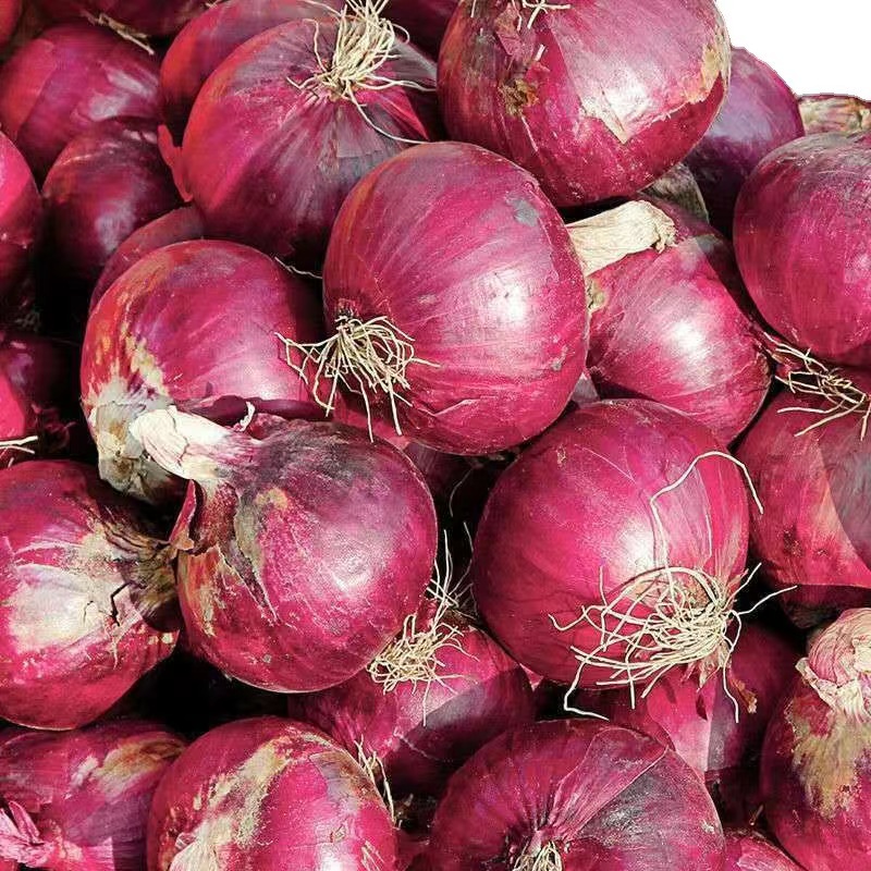 云南紫皮洋葱新鲜蔬菜紫皮脆甜洋蒜大红皮紫圆葱现挖现发一件代发