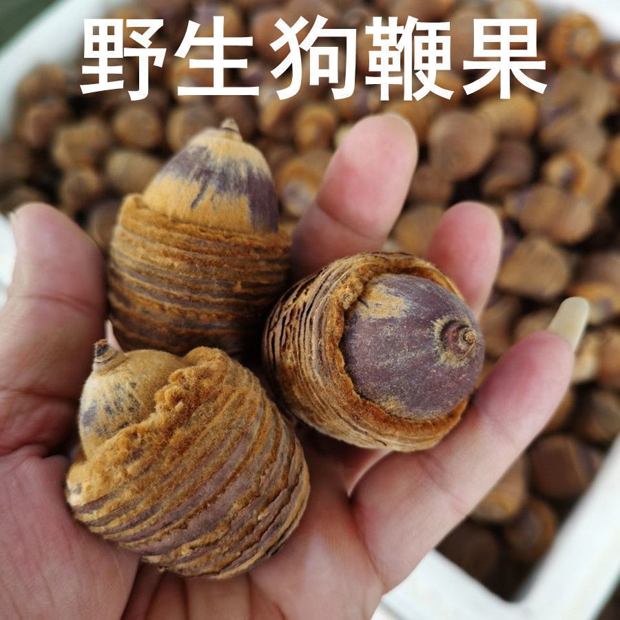 云南狗鞭果风流果男人泡酒干货500g毛毛果 猪仔粒-阿里巴巴