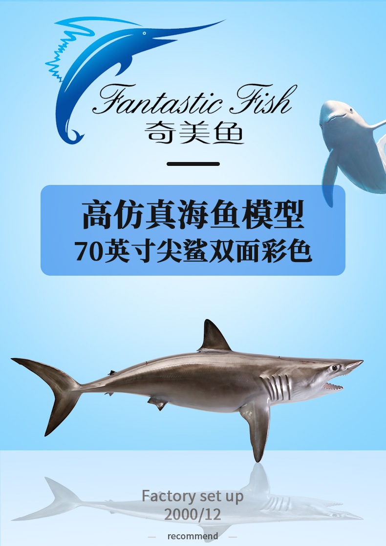 尖鲨鱼立体双面玻璃钢雕塑海洋工艺品墙壁挂饰仿真鱼模型室内装饰