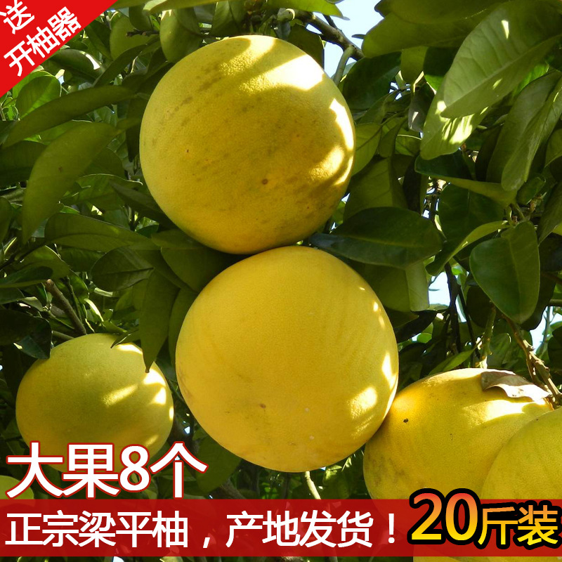 重庆梁平龙滩柚新鲜水果平顶柚白心农家老树梁平柚子20斤装