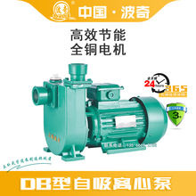 上海波奇 DB-5型自吸离心泵 大流量自吸泵1/1.5/2寸抽水泵高扬程