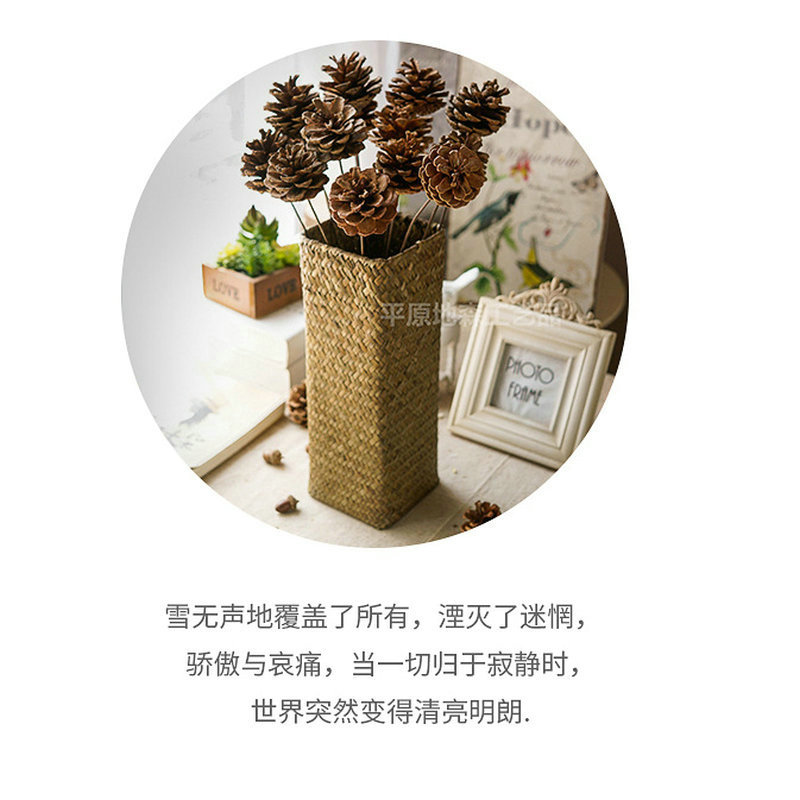 自然单支松果干花幼儿园手工diy制作摄影拍摄道具圣诞树装饰松果