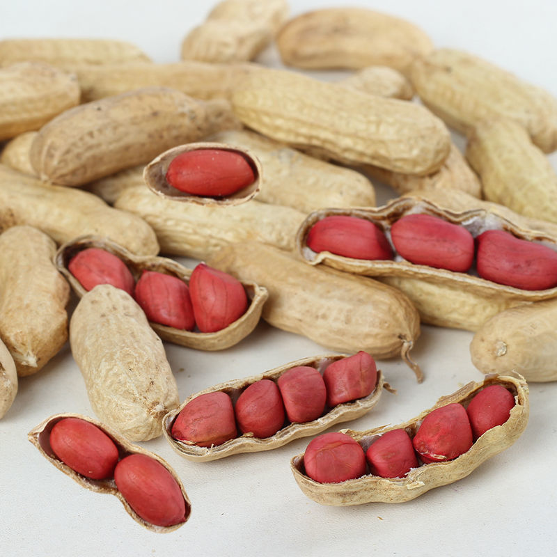5斤新货红皮花生果新货新鲜晒干带壳花生原味3斤1斤四粒红衣花生