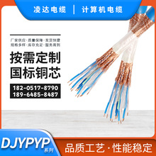 定制DJYPVP/DJYPV/DJYVP计算机电缆2 3 4 6 8 10芯屏蔽信号控制线