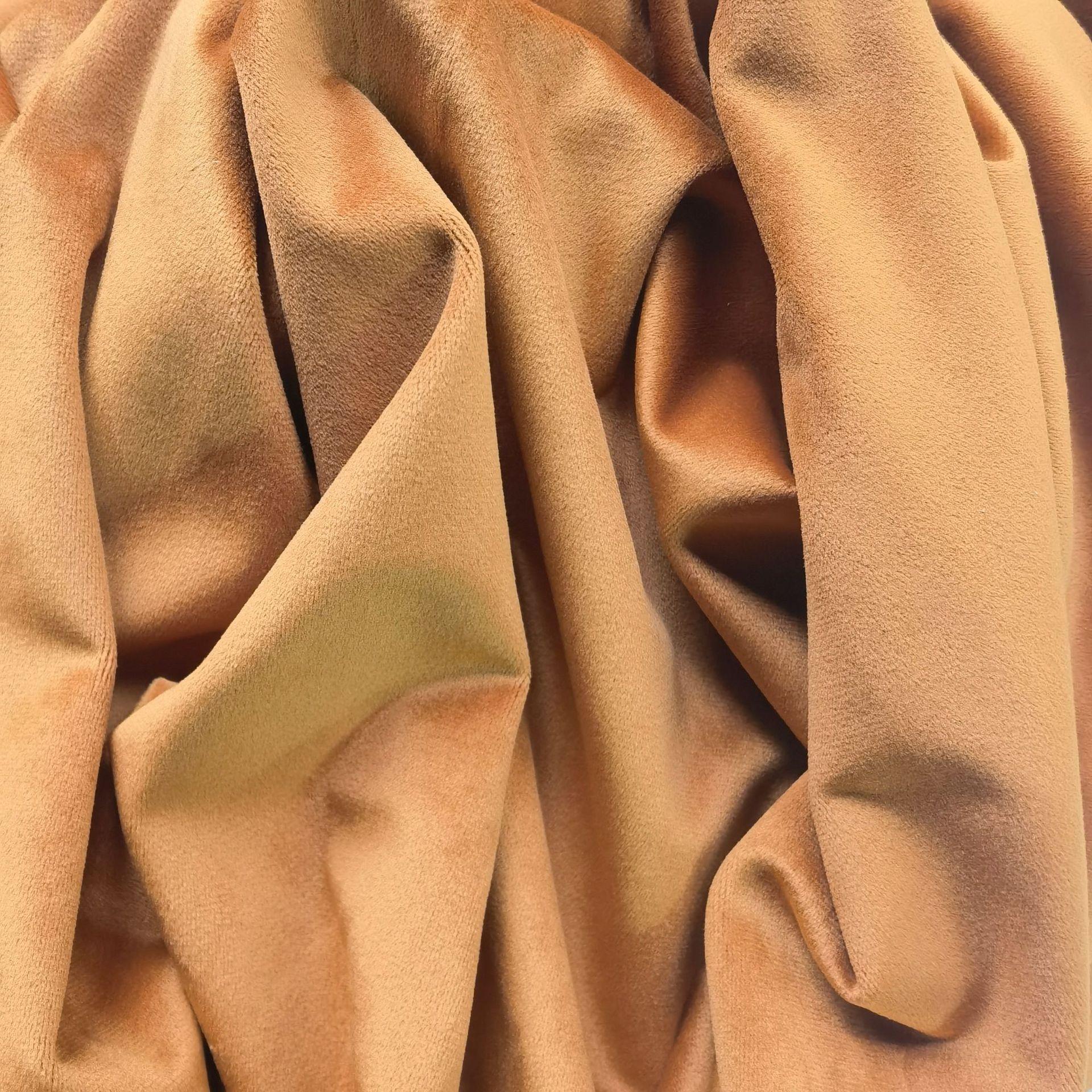 100%可再生经编绒布 荷兰绒