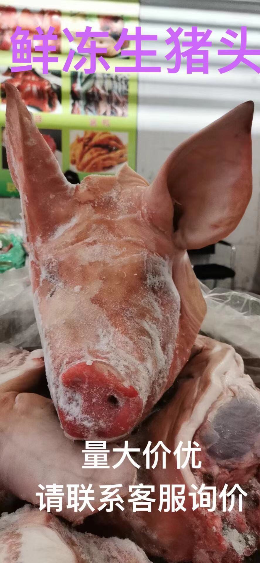 新鲜冷冻生猪头整只猪头猪脸肉带耳朵带口条干净无约44斤4只