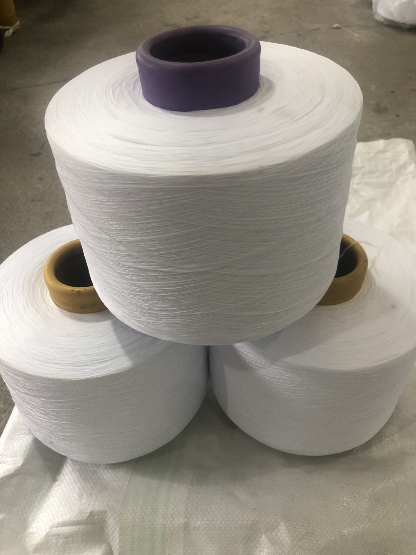 厂家直供漂白涤纶高弹丝 机头纱 横机纱 织带用纱150d-600d