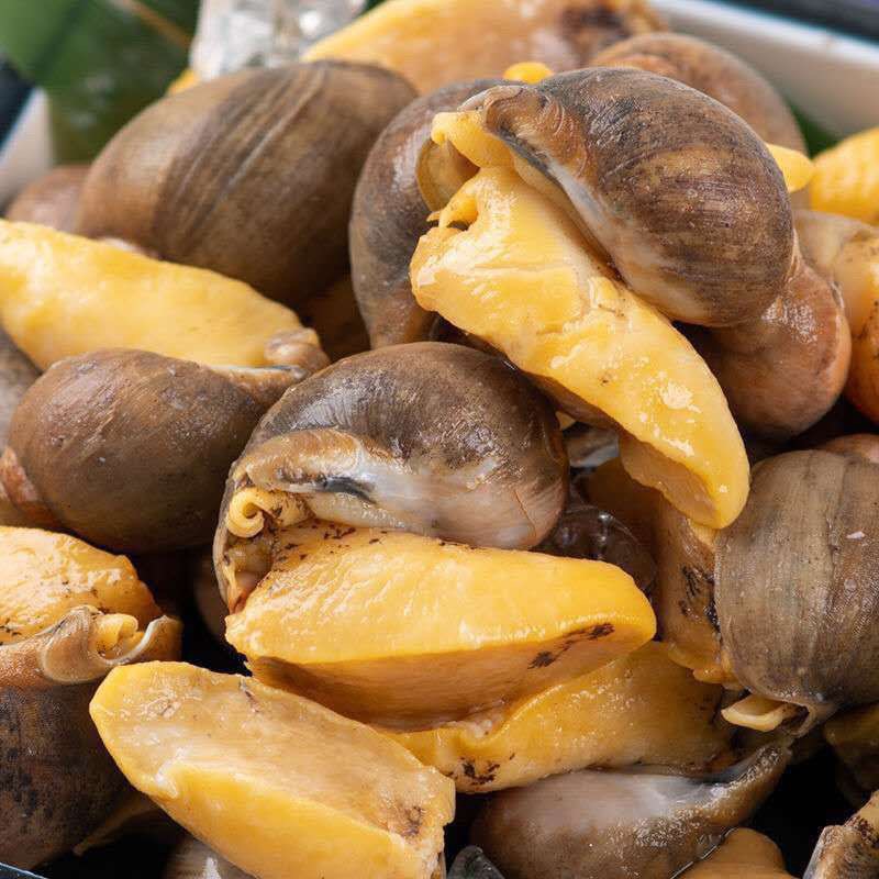 鲍鱼螺鲍螺满黄老婆脚海蜗牛新鲜海鲜珍珠鲍250克鲜活蛤蜊花蛤