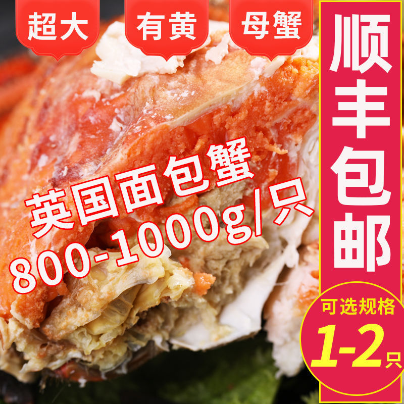 英国超大面包蟹鲜活熟冻800-1000g海鲜水产加热即食珍宝蟹黄道蟹