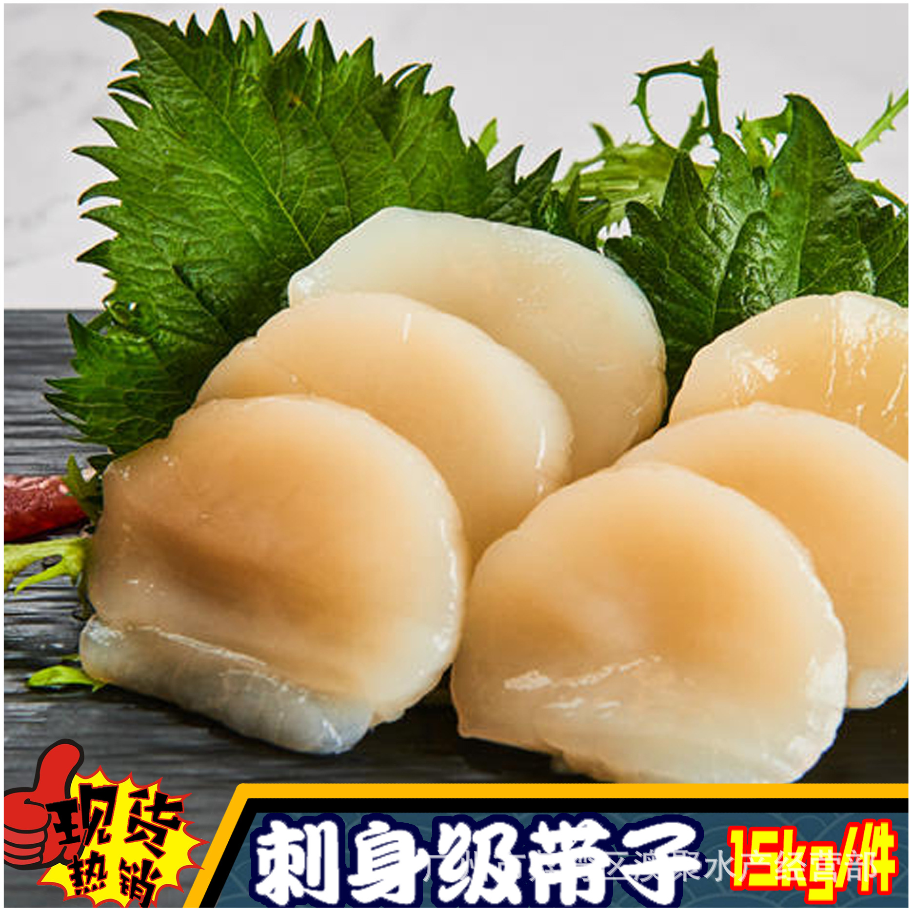海鲜"原汁带子贝柱"超低温刺身日料寿司餐厅高端食材批发15kg