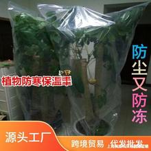 果树温室塑料套果苗保温植物防冻膜苗园冬季防尘罩养花户育苗室外