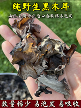 东北野生黑木耳干货纯正天然山货秋木耳特产凉拌口感软糯大朵500g