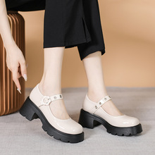 厚底玛丽珍鞋单鞋女2023年新款圆头学院风小众设计粗跟白色小皮鞋