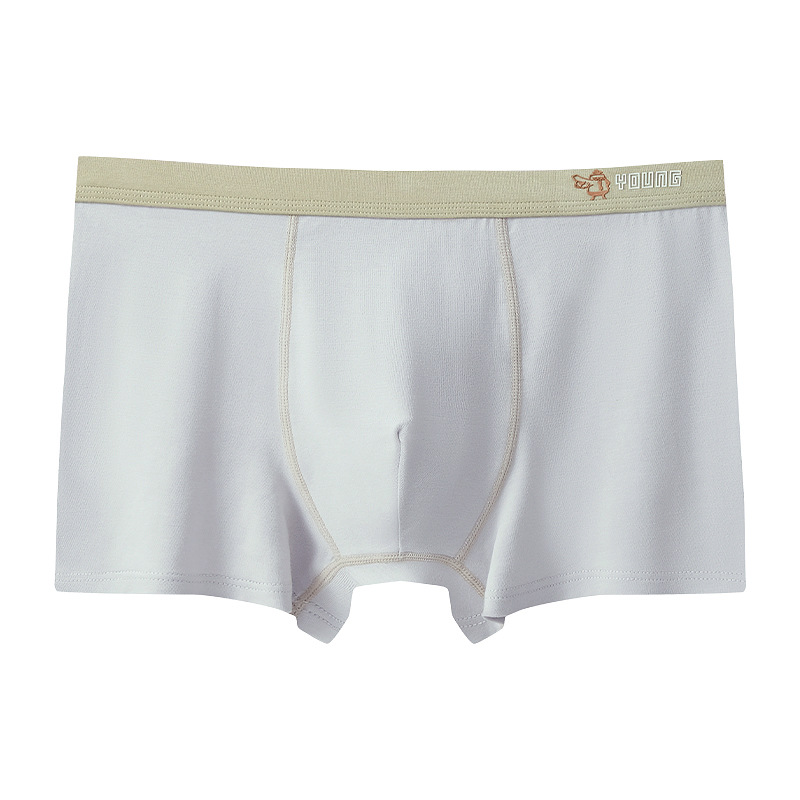 Underwear Men's Simple Pure Cotton Boxer Brief-Piece Type Trendy Teen Middle School Student Underpants Mid-Waist Boxer Summer