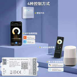 涂鸦新款私模七彩WiFi+2.4G+Push 12-48V通用C07W控制器