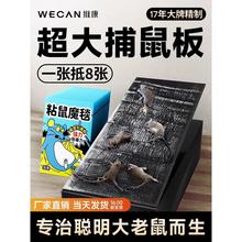 老鼠贴强力胶粘鼠板捕捉大老鼠正品家用一窝端抓灭鼠驱鼠神器颂翊