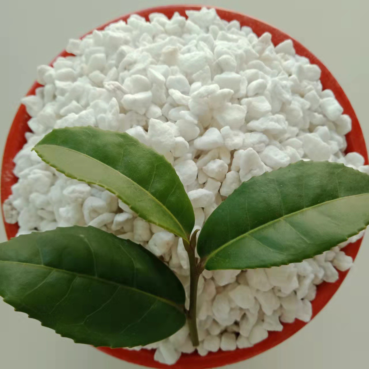 珍珠岩环保材料