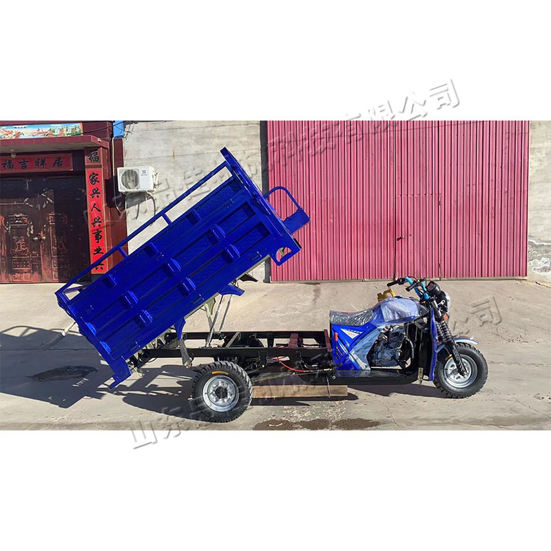 货运农用水冷150货车 175汽油三轮车载重王 农用汽油摩托三轮车