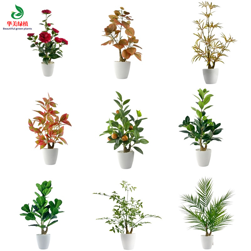 华美 仿真绿植盆栽 人造茶树叶仿真橄榄叶 场景布置拍摄道具假花