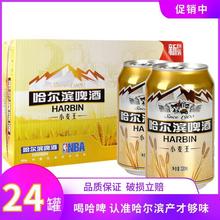 哈尔滨产地小麦王啤酒哈啤麦香浓郁黄啤酒24罐熟啤整箱包邮啤酒