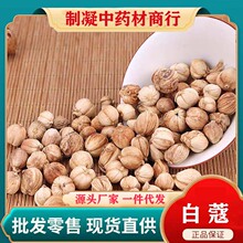 中药材白豆蔻克 豆蔻香料白豆蔻粉 白寇 白寇仁 白蔻白扣白叩500