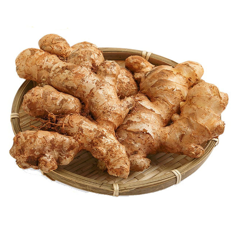 小黄姜新鲜生姜嫩姜辛辣新鲜仔姜现挖带泥云南农家自种批发糖醋姜