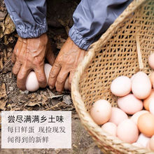 【顺丰包邮】散养九华山土鸡蛋新鲜批发价孕妇婴儿补钙有机