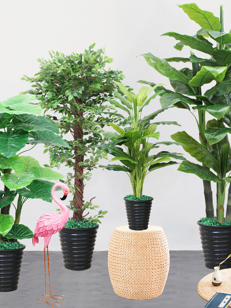 植物盆栽假绿植装饰室内摆件防真花塑料芭蕉树客厅大网红盆景