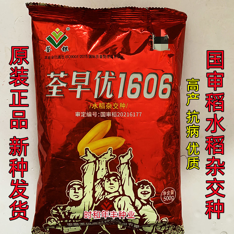 荃早优1606杂交水稻种子高产抗病双季稻谷种籽大田基地国审稻种孑