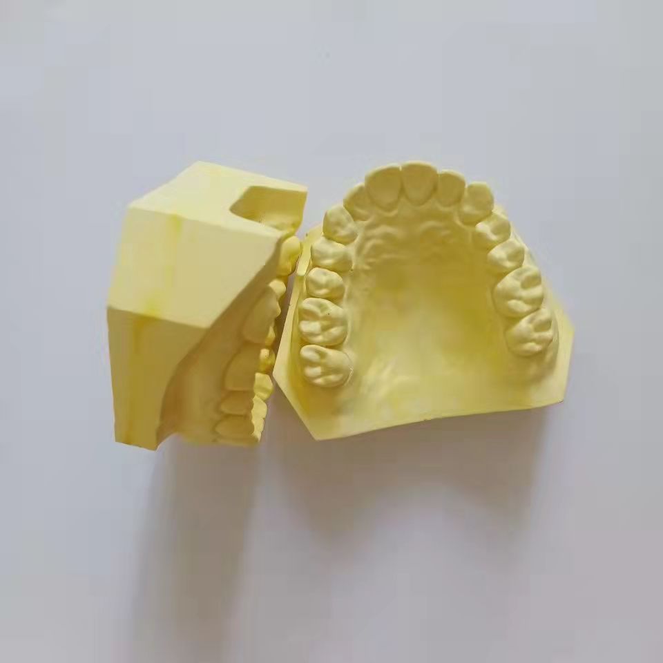 牙科假牙标准石膏模型美牙浮雕贴面练习专用材料口腔学员教学包邮