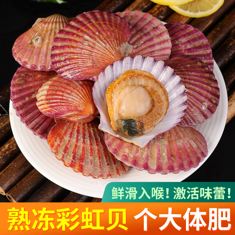 熟冻彩虹贝扇贝烧烤蒜蓉粉丝扇贝肉新鲜发货小红贝带壳港湾贝海鲜