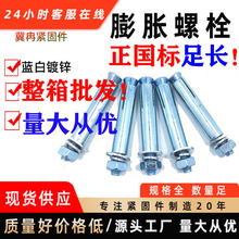 纯正国标膨胀螺丝加长膨胀螺栓拉爆铁膨胀镀锌大头小头内外膨胀丝