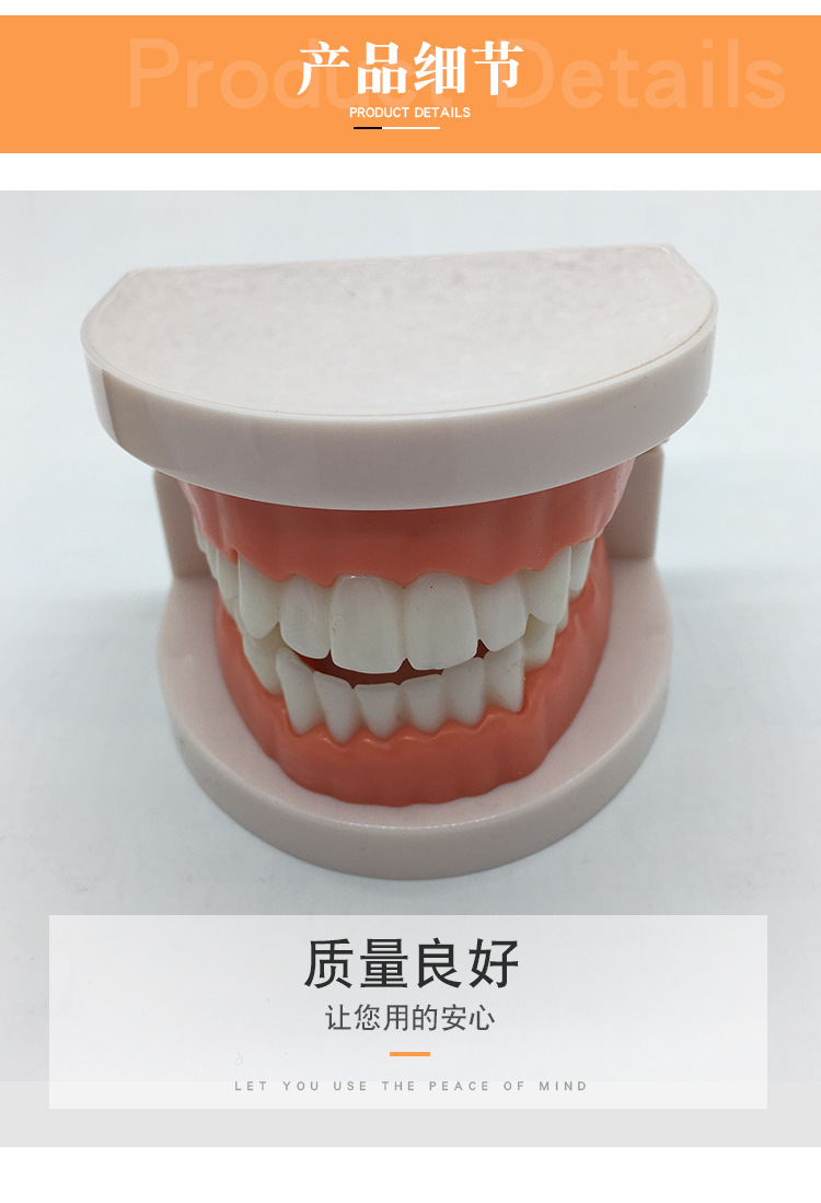 牙齿标准模型教学牙模型口腔齿科器械美牙冰瓷全瓷贴面贴片材料