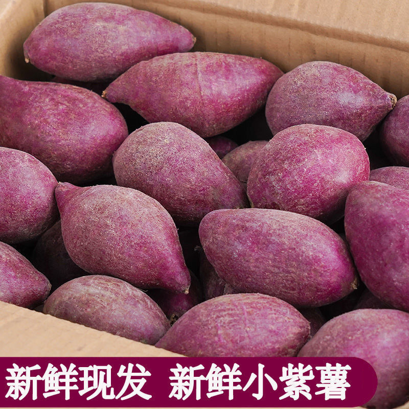 小紫薯新鲜板栗小红薯地瓜沙地香薯粉糯香甜番薯小个批发一件代发