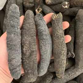 10头大乌参乌元参黑乌条乌枣秃参海参干货批发酒店水发用厚肉500g