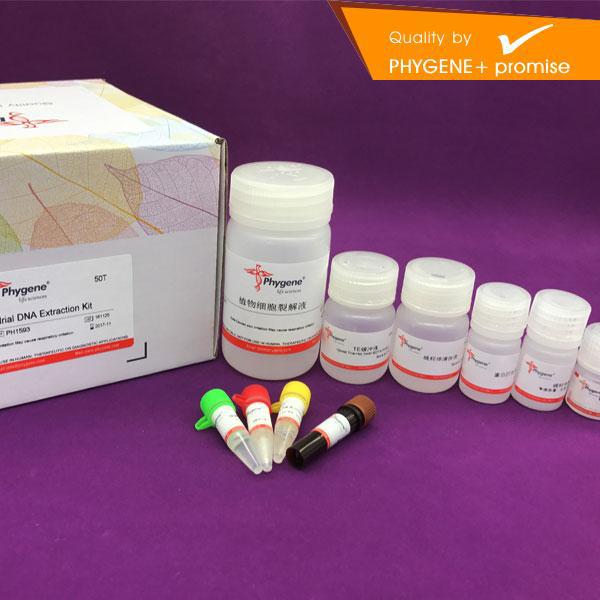 ph1593 植物线粒体dna提取试剂盒 科研实验专用 phygene