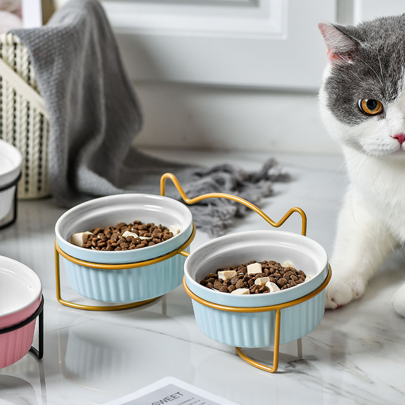 猫碗双碗护颈宠物陶瓷保护颈椎防打翻可爱食盆猫咪吃饭碗喝水两用