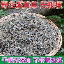 溪黄草叶野生溪黄草茶广东溪黄草茶凉茶甘甜溪黄草藤茶莓茶养生茶