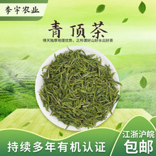 青顶绿茶 有机茶厂家2023新茶 千岛湖沃野生态炒青绿茶散装批发